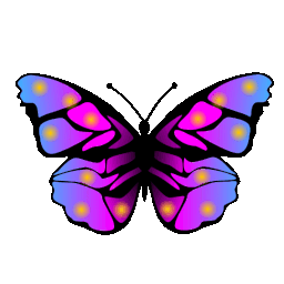 Butterfly 1